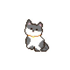 Fototapeta premium 8-bit pixel art pet with gray white cat and isolated with transparent background, perfect for pet-themed designs, stickers, icons, game asset, wallpaper, template card and background. 