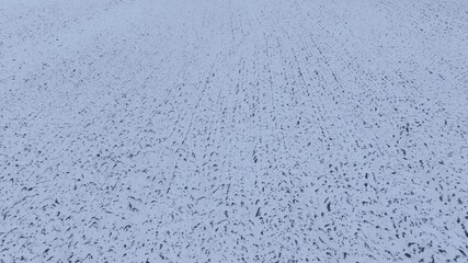 Forward motion reveals snow-covered farmland with rhythmic winter textures