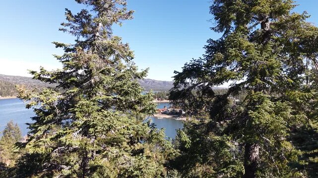 Big Bear Lake from above. Camera moving through the trees to expose a beautiful cinematic view of Big Bear Lake