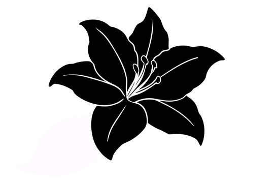 Azalea flower silhouette vector, Azalea black symbol
