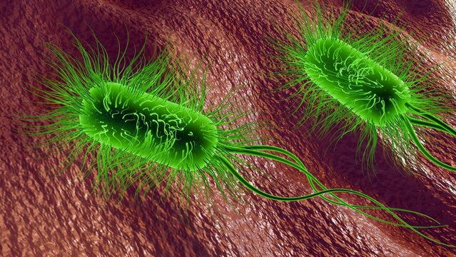 3D illustration of illuminated bacteria, glowing vibrant green, directly connects to natural bioluminescence, representing light-producing cells found in nature.
