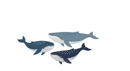 Obraz premium Three stylized whales of different sizes and shades of blue swimming together in a simple hand-drawn vector art style on white.