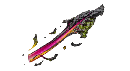 Isolated vibrant swiss chard leaf against a bright backdrop highlighting its unique colors and textures offering fresh and healthy ingredients