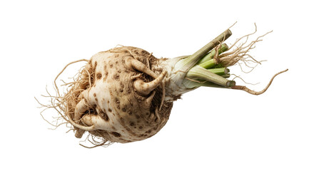 Fototapeta premium Studio shot showcasing an untamed celeriac, emphasizing its rough texture and raw earthiness against a clean white background