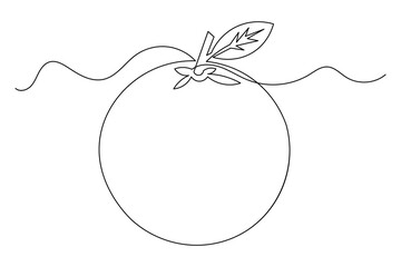 Orange fruit continuous one line drawing minimalist style isolate outline