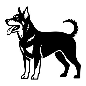 Beauceron Dog