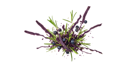 Minimalist composition showcasing juniper berries, rosemary, and purple elements on a bright white backdrop