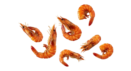 Deliciously arranged cooked shrimps on a pristine white background ready to be served beautifully display isolated, tempting taste 95 characters