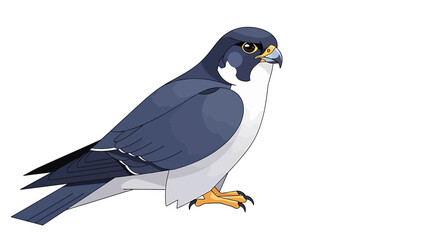 Majestic Peregrine Falcon Perched on White Background, Detailed Feather Texture and Sharp Eyes