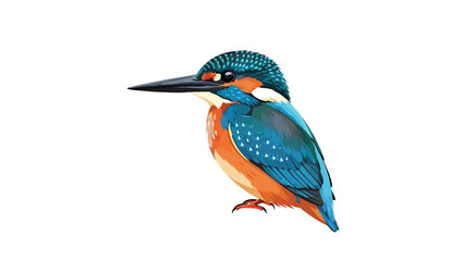 Vibrant Kingfisher Bird Perched Isolated on a Clean White Background