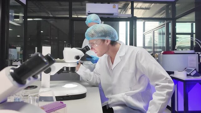 Laboratory technicians analyzing samples in a modern research facility during daytime