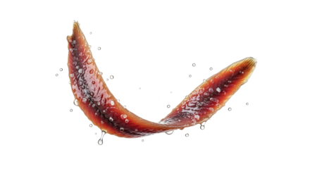 Floating Anchovy Fillets Adorned with Sparkling Water Droplets on a Crisp White Backdrop to Showcase Culinary Delights