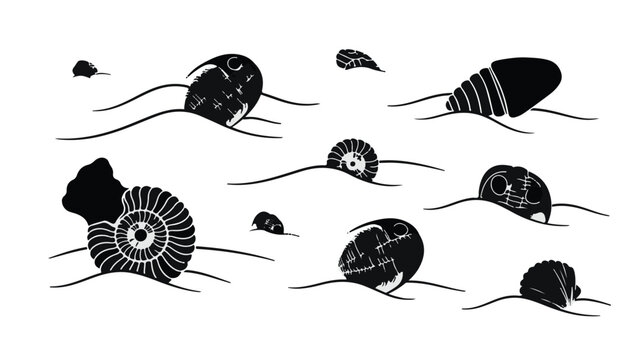 Ancient fossils emerge from sandy seabed, hinting at prehistoric marine life.
