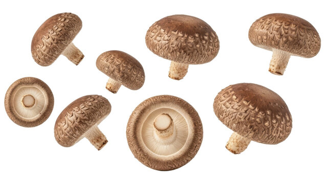 Artistic arrangement of vibrant shiitake mushrooms on a pristine white canvas, creating an eye-catching visual feast