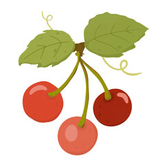 cherries with leaves
