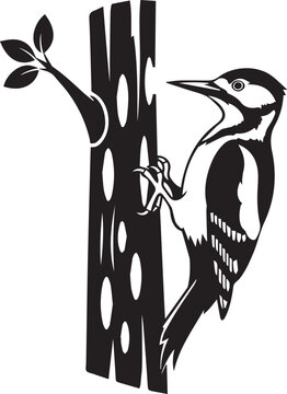 black and white woodpecker on tree clip art preview