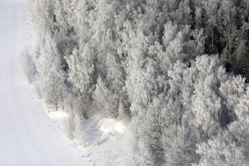 Aerial view of winter forest covered in heavy frost
