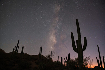 The milky way galactic center over Saguaro National Park
