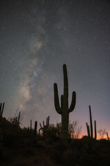 The milky way galactic center over Saguaro National Park
