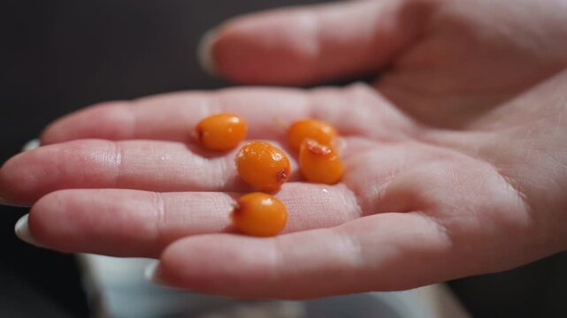 Hand Presenting Glossy Orange Berries On Palm, Clinical Close Up Showing Spherical Clusters And Tiny Droplets, Fingers Counting Selection For Nutrition Analysis, Macro Texture Study Highlights Vitamin