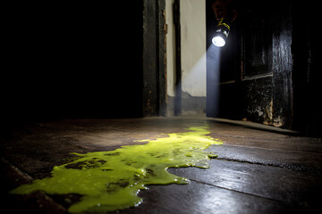 Woman tenderly holding a small potted succulent plant in a greenhouse