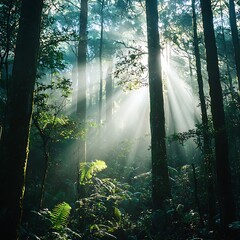 Mystic jungle brightened by radiant sunbeams high resolution picture