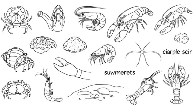 Minimalist black and white illustration showing a guitar neck with a wrench and string roll, representing instrument repair, beside two blank rectangular boxes.