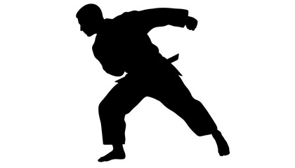 Obraz premium A silhouette of a martial artist in a dynamic pose, showcasing the power and grace of combat sports on a clean white background.