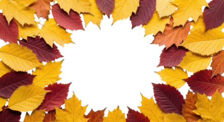 Autumn leaves wreath frame transparent background cutout png