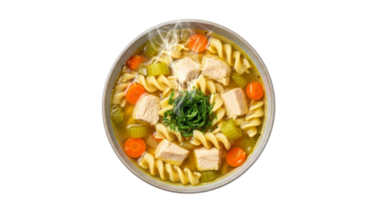 A steaming bowl of comforting chicken noodle soup filled with fresh vegetables and savory broth on a pristine white backdrop