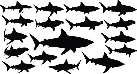 Marine Animal, Ocean Fish, Great White, Hammerhead, and Reef Shark Species Flat Black Line Drawing Illustration.