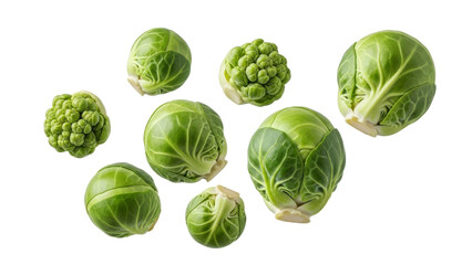 Isolated vibrant brussel sprouts, showcasing their texture, freshness, and inviting green color that make them ideal for culinary projects