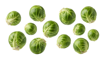 Delicate display of verdant brussels sprouts arrayed on a pristine white surface, showcasing their fresh, natural vibrancy and subtle textures