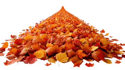 Autumn Leaf Pile: A vibrant pile of fallen leaves, showcasing the rich colors of autumn, arranged in a visually striking formation.