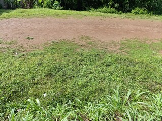 Open patch of reddish brown dirt surrounded by wild green grass. Earthy ground and weeds texture. simple outdoor field environment background. Contrast between dry soil
