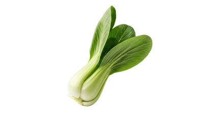 Delicate Bok Choy Elegance: A Pristine Studio Shot Showcasing Vibrant Green Leaves and Crisp White Stems on a Minimalist Backdrop