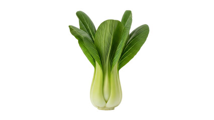 Vibrant bok choy portrait showcasing fresh green leaves and delicate white stems against a clean background