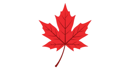 Vibrant red maple leaf symbol of canada isolated on white background