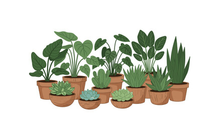 Fototapeta premium Group illustration of various green indoor houseplants in terracotta pots creating a lush and cozy urban jungle composition.