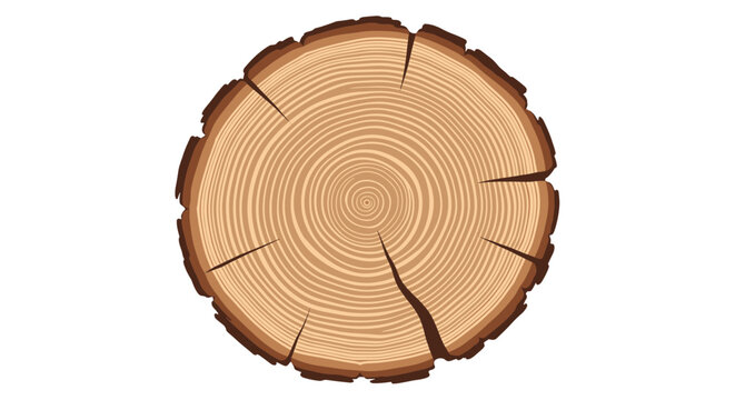 Detailed illustration of a tree trunk cross-section showing concentric growth rings and cracked bark on a white background.