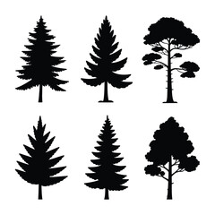 Fototapeta premium Tree Pine Vector, Silhouette, Illustration