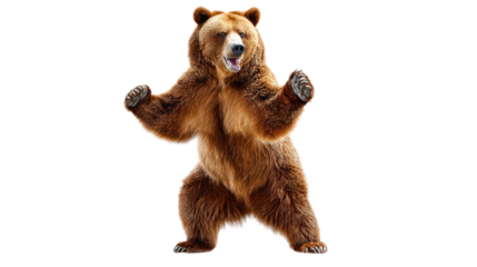 Majestic Bear on its Hind Legs: A powerful brown bear stands tall on its hind legs, showcasing its strength and dominance in its natural habitat, emphasizing survival and wilderness.