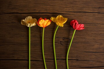 Artificial poppy flowers on wooden background