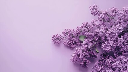 Purple lilac flowers forming a decorative border on a monochromatic background, copy space - Powered by Adobe