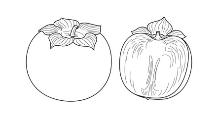 A detailed black and white line art illustration showing a whole persimmon fruit and another persimmon cut in half to show the inside.