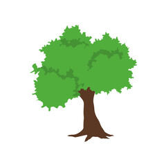 Tree with Thick Green Leaves