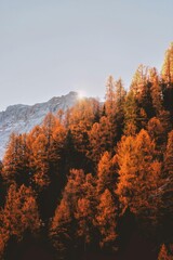 autumn in the mountains