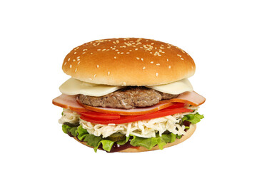 Burger isolated on a white background. Fast and tasty food.	