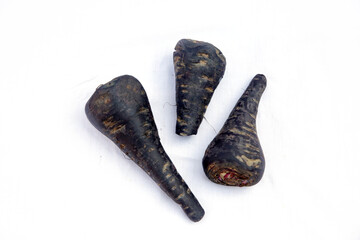 Every Color Carrots Available