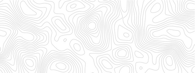 Fototapeta premium Contour Line Topographic Map Seamless White Background